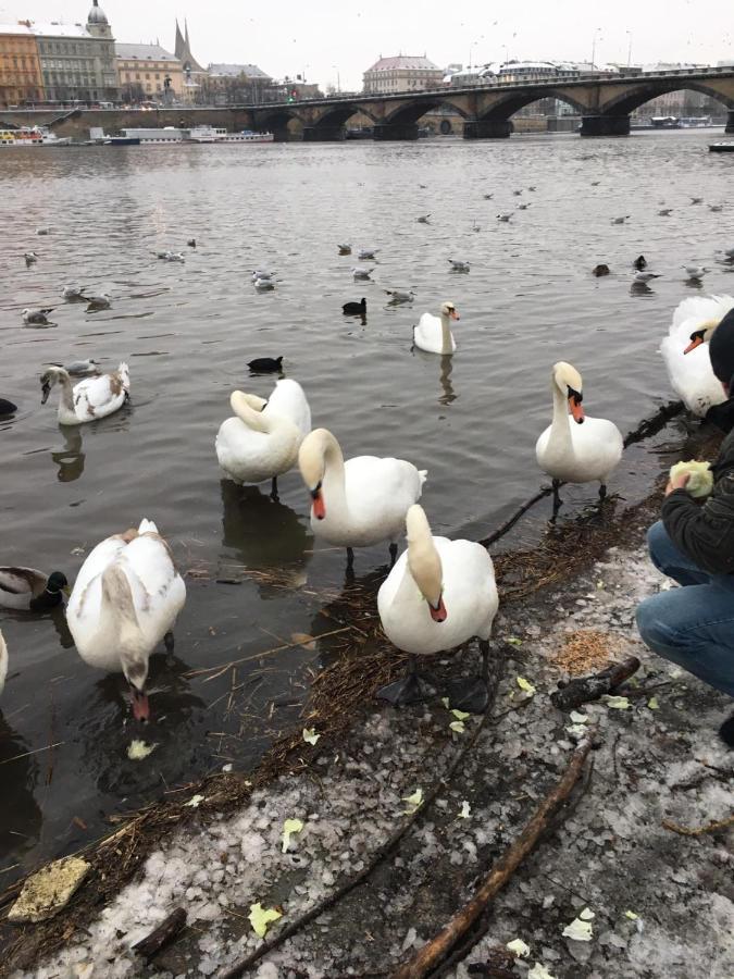 Apartment Vltava プラハ エクステリア 写真