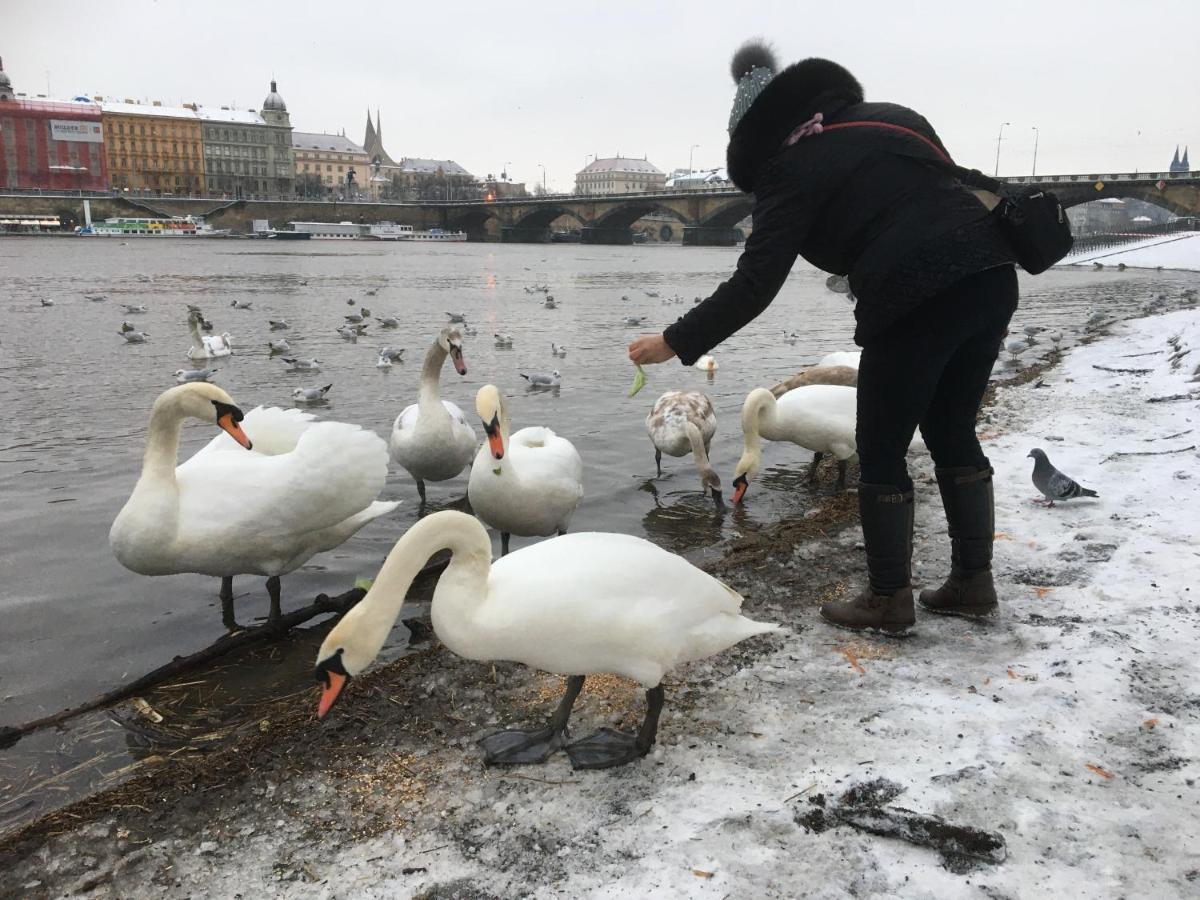 Apartment Vltava プラハ エクステリア 写真
